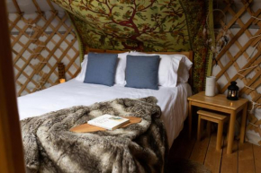 Pass the Keys Yurt from the Madding Crowd - Unique Glamping break
